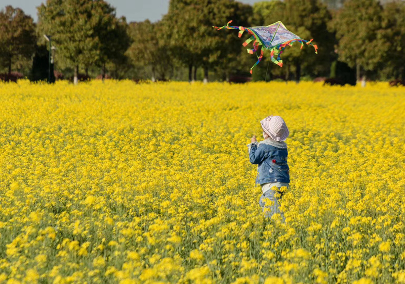 有風(fēng)從夏天吹來(lái)