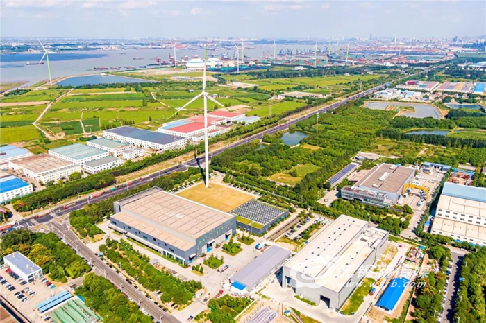 “含綠量”“含金量”雙提升，“零碳港口”守“綠”成“金”