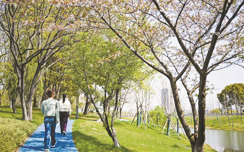 綠化景觀串聯(lián)16個園區(qū)、2片住宅區(qū)和6個公園 “超級公園大道”亮相新吳  
