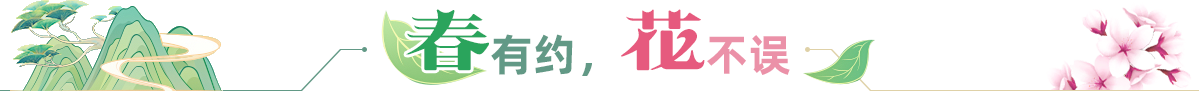 春有約，花不誤